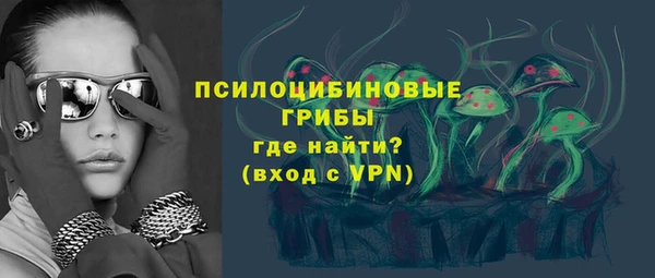 крисы Мегион