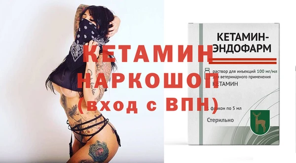 крисы Мегион
