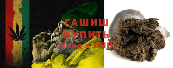 крисы Мегион