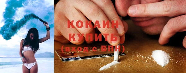 крисы Мегион