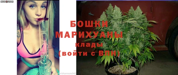 крисы Мегион