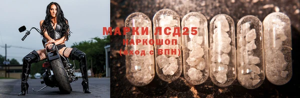 гашик Михайловск