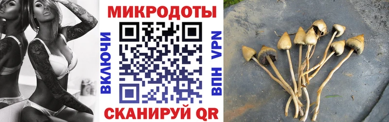 где найти наркотики  Миллерово  ОМГ ОМГ зеркало  Псилоцибиновые грибы Magic Shrooms 