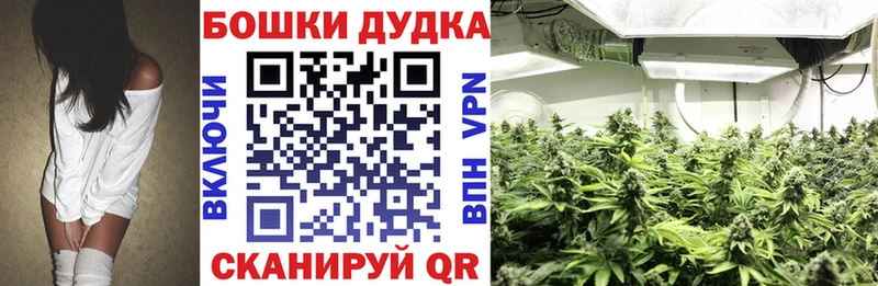 что такое наркотик  Миллерово  Бошки Шишки гибрид 